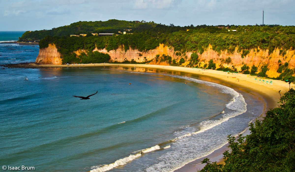 Baia dos Golfinhos